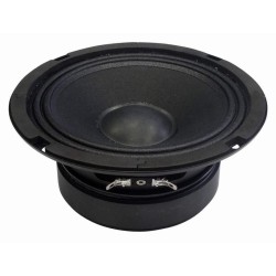 PL6 BS ACOUSTIC reproduktor