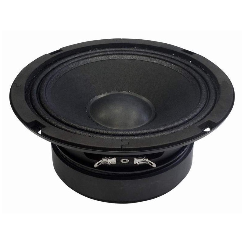PL6 BS ACOUSTIC reproduktor