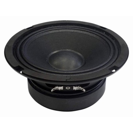 PL6 BS ACOUSTIC reproduktor