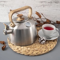 Kanvica na čaj s píšťalkou ORION nerez 3,2l