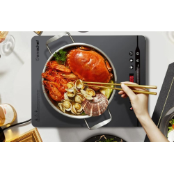 Varič indukčný AMZCHEF SK-20CB14T-GA