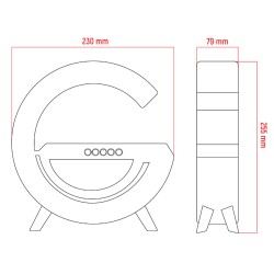Reproduktor DPM DTL301B Bluetooth s bezdrôtovým nabíjaním