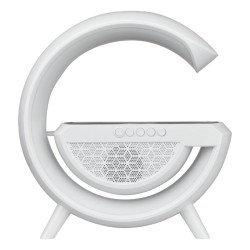 Bluetooth reproduktor DPM DTL301W s bezdrôtovým nabíjaním