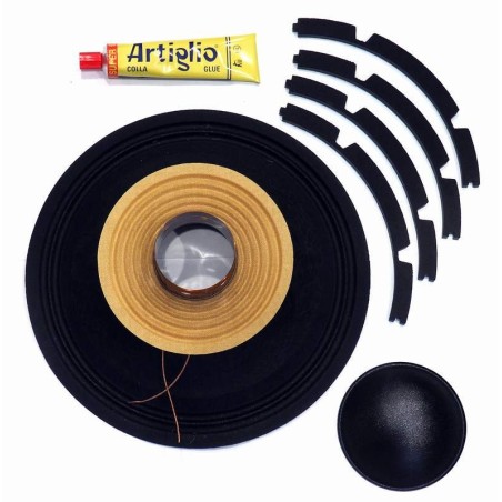 Recone Kit 12N2,5 SICA loudspeaker