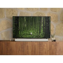 SONOS ARC ULTRA biela