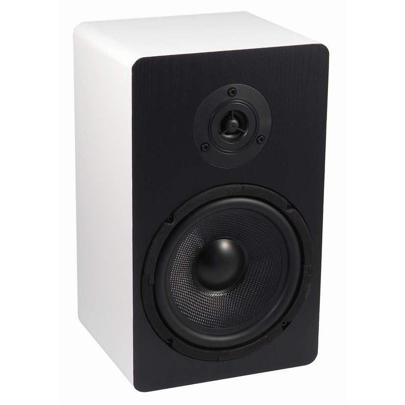 SONUS100W-100V BS acoustic reprosústava