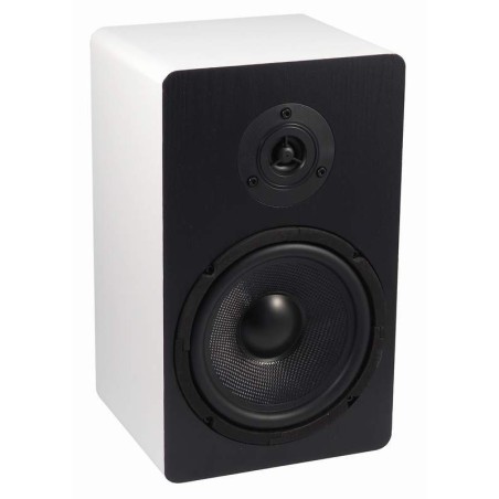 SONUS100W-100V BS acoustic reprosústava