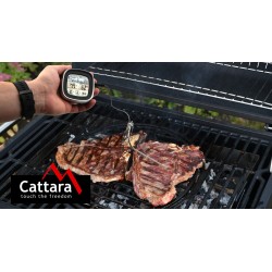 Teplomer vpichovací CATTARA 13089