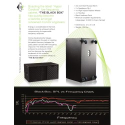 THE BLACK BOX CSW subwoofer