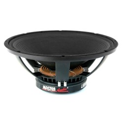 VYP313 LSN18/8 Master Audio reproduktor