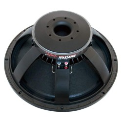 VYP313 LSN18/8 Master Audio reproduktor