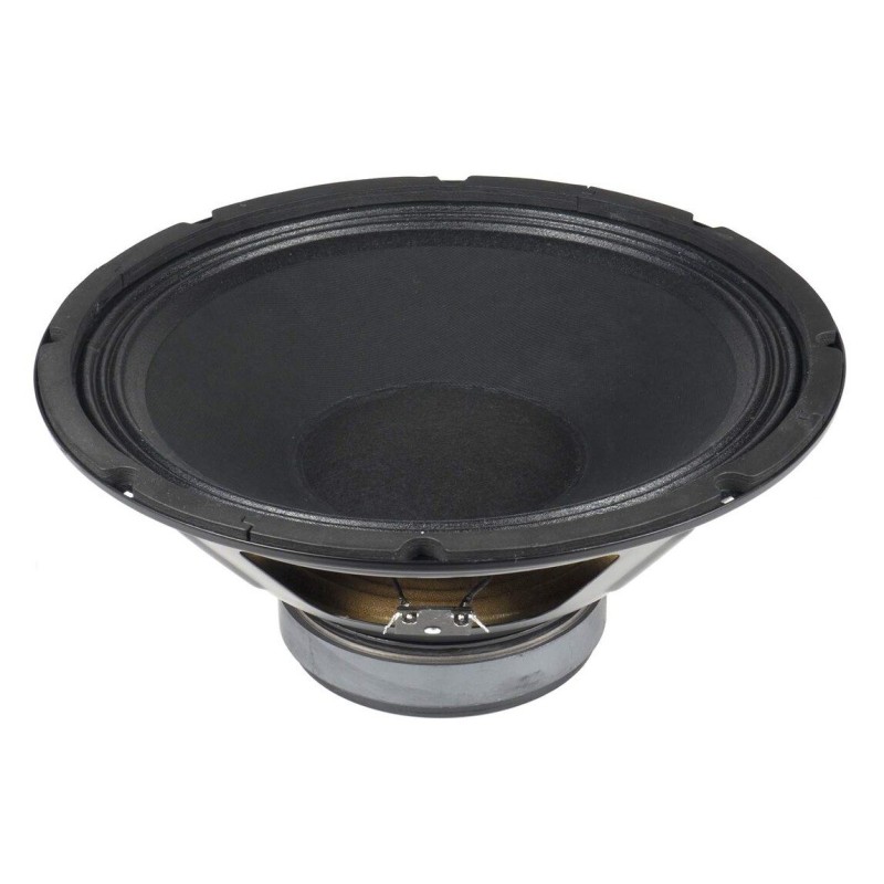 VYP315 PL12 BS ACOUSTIC reproduktor
