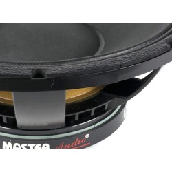 VYP320 LSN15/8 Master Audio reproduktor