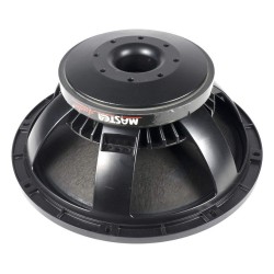 VYP321 LSN15/4 Master Audio reproduktor