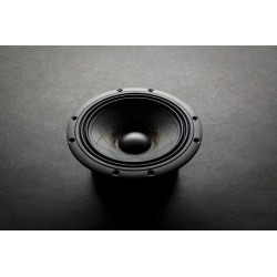 W 174.38 Fibonacci RS speakers reproduktor