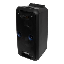 Party reprobox, 2 x 20 cm, aku, BT, LED