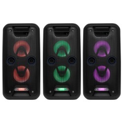Party reprobox, 2 x 20 cm, aku, BT, LED