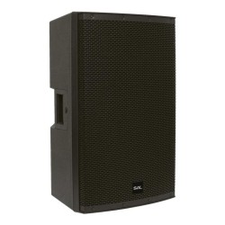 Profesionálny reprobox, 38 cm