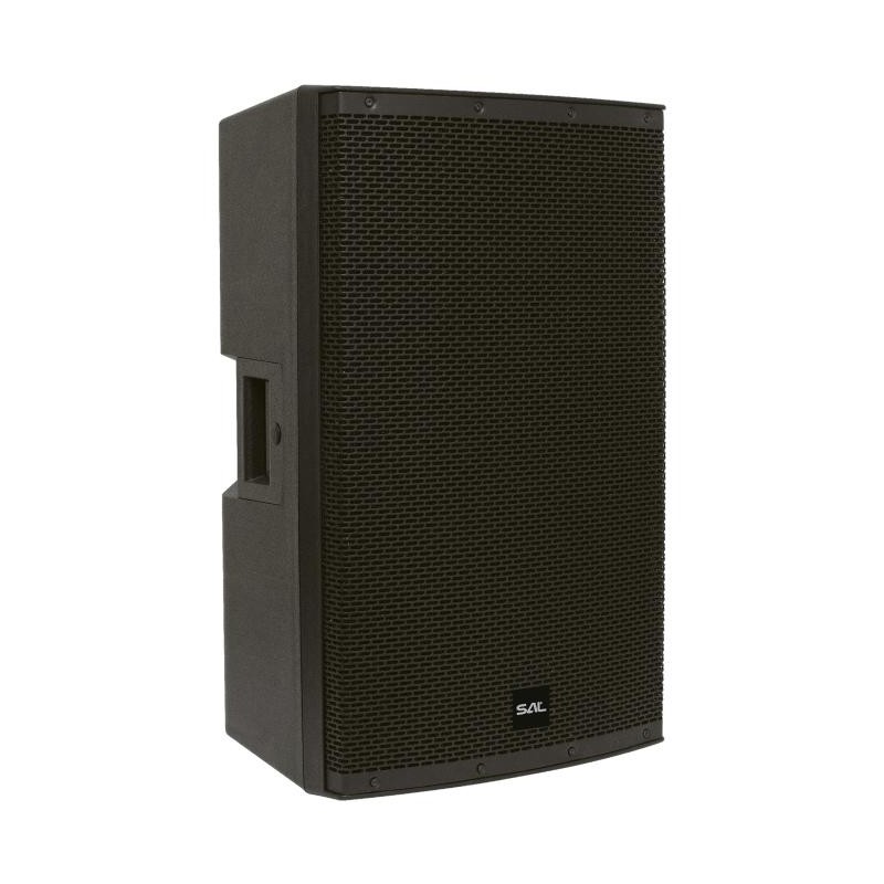 Profesionálny reprobox, 38 cm