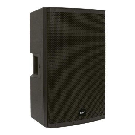Profesionálny reprobox, 38 cm