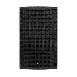 Profesionálny reprobox, 38 cm