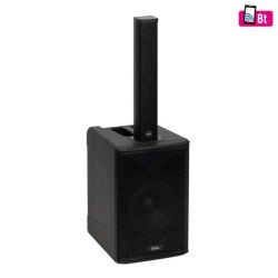 Profesionálny reprobox, 20 cm
