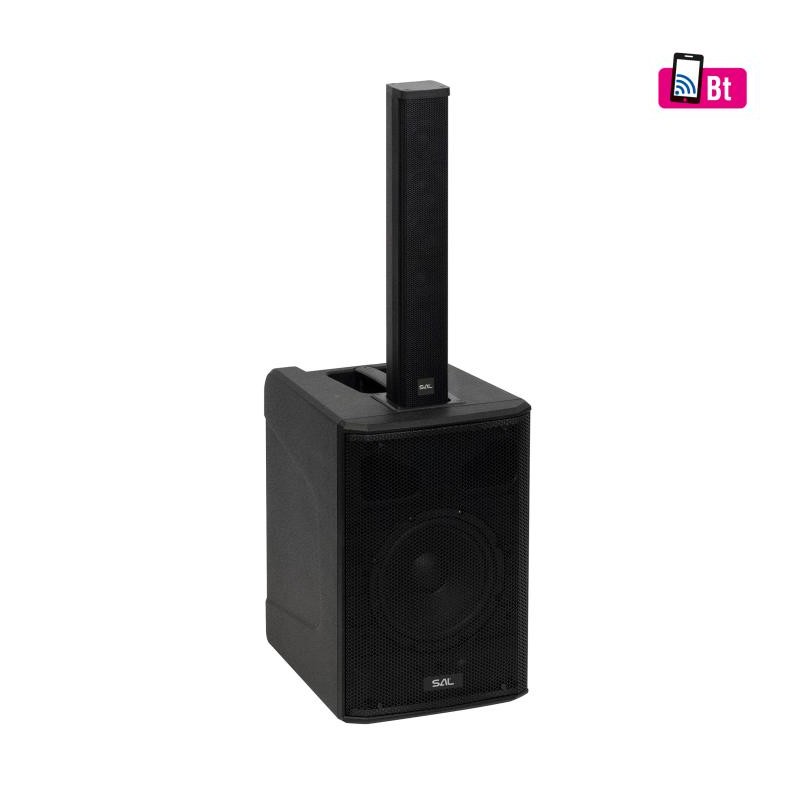 Profesionálny reprobox, 20 cm