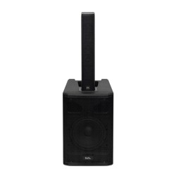 Profesionálny reprobox, 20 cm
