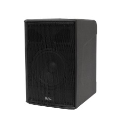Profesionálny reprobox, 20 cm