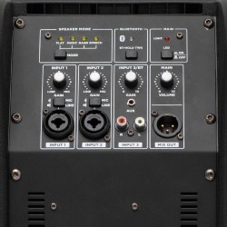 Profesionálny reprobox, 20 cm