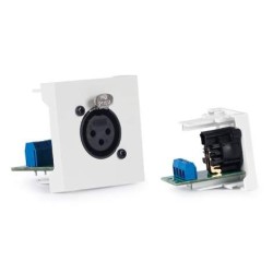 WP39X Fonestar XLR konektor