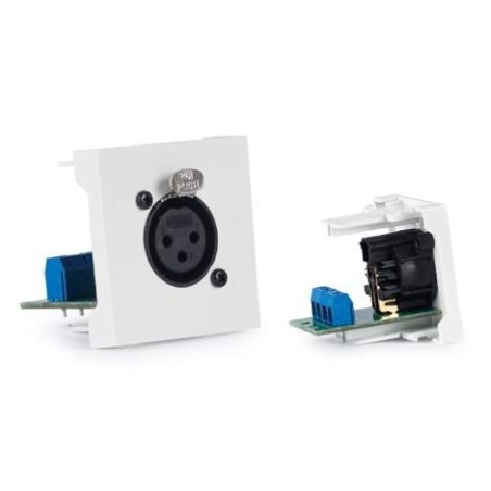 WP39X Fonestar XLR konektor