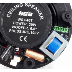 WS640T BS ACOUSTIC reproduktor