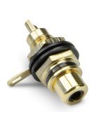 RCA (cinch)